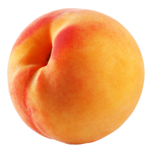 Peaches 1 300x293 1, Stargrow