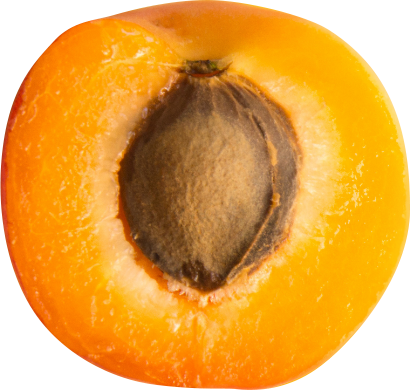 Apricot Etched, Stargrow