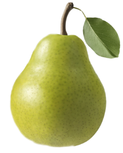 Pear 1 241x300 1, Stargrow