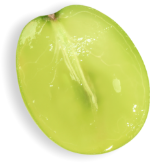 Seedless Grape 2, Stargrow