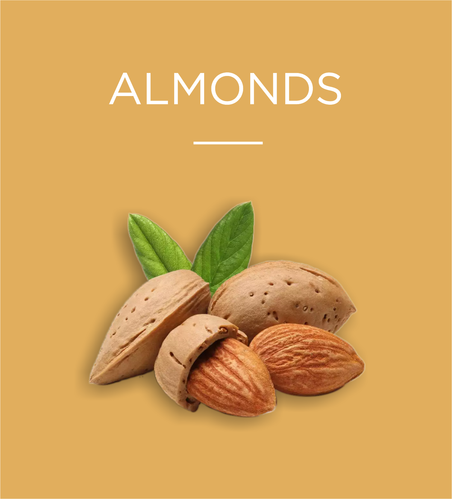 Almonds, Stargrow